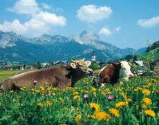 Tannheimer Tal Tannheimer Tal