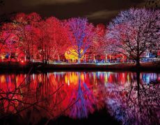 Lichterfest im LUISENPARK Lichterfest im LUISENPARK